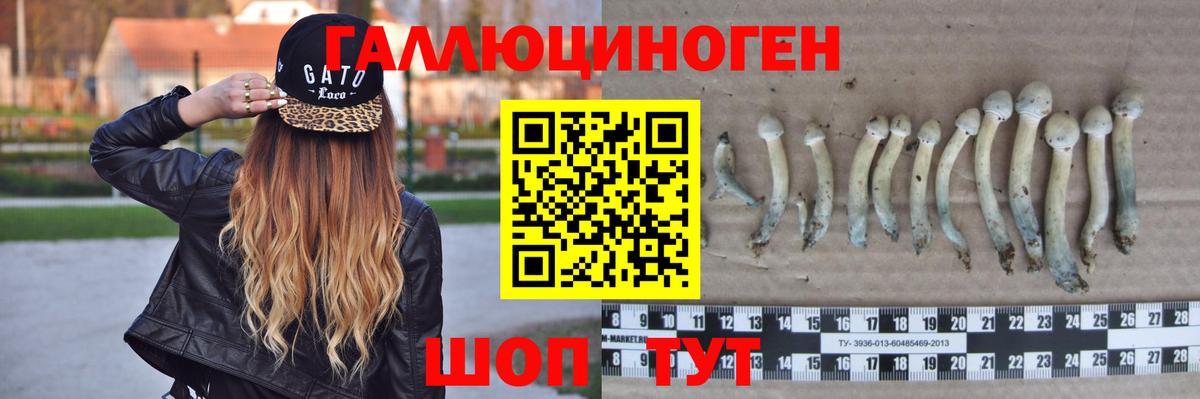 Лянтор  Галлюциногенные грибы Psilocybine cubensis  Галлюциногенные грибы мухоморы  Вход с VPN 